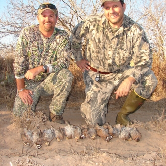 South Texas Quail Hunt